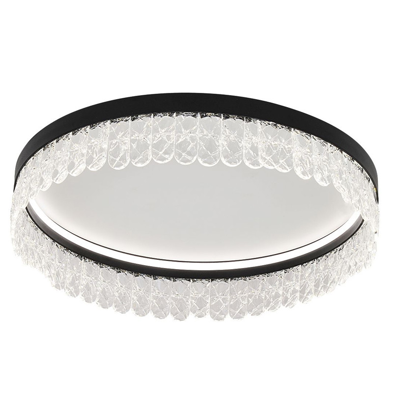 Потолочный светодиодный светильник Pettico Black