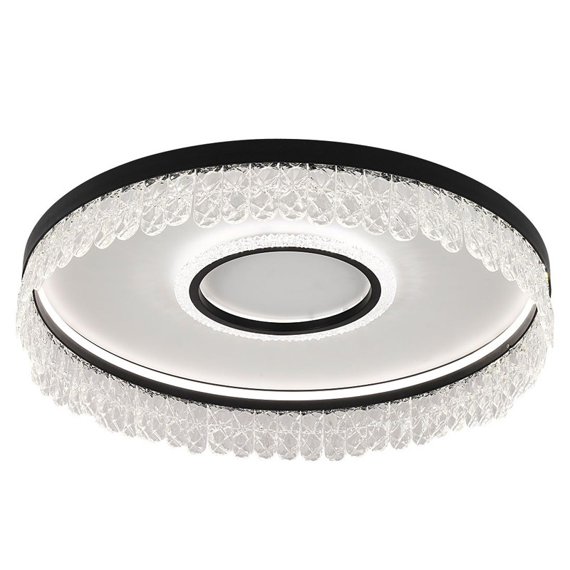 Потолочный светодиодный светильник Pettico Black Duo