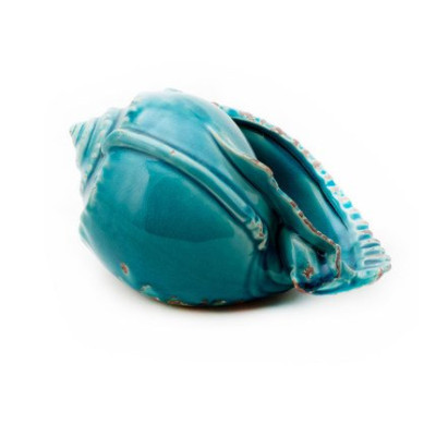 Ракушка Shell Turquoise #3