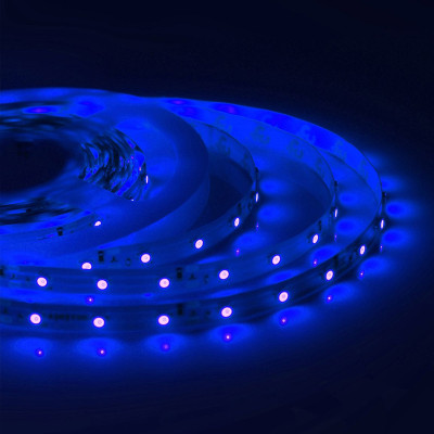 Светодиодная влагозащищенная лента 4,8W/m 60LED/m 3528SMD синий 5M