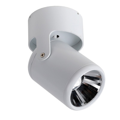 Спот Ogre spot white