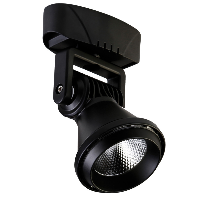 Спот Pansy spot black