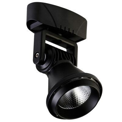 Спот Pansy spot black