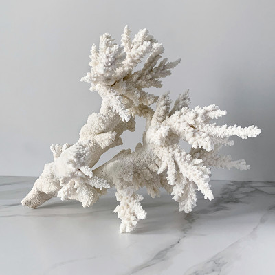 Статуэтка Branch L Coral