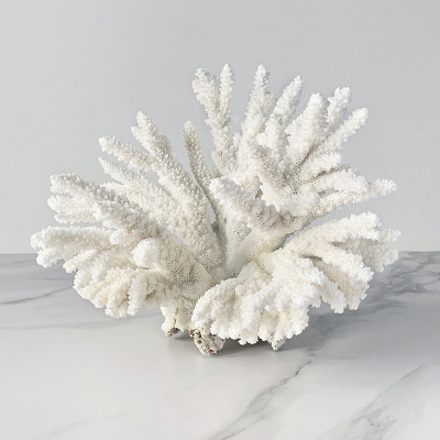 Статуэтка Branch M Coral