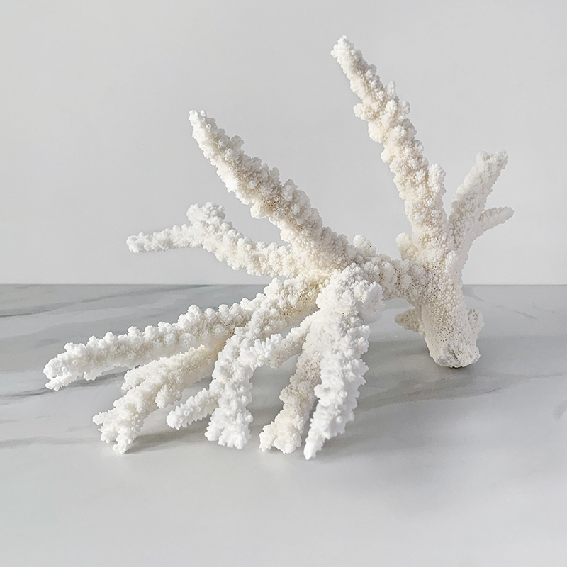 Статуэтка Branch SM Coral