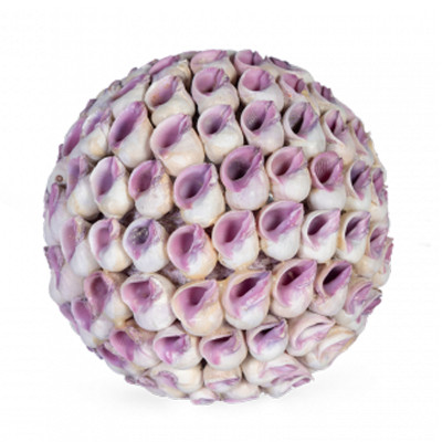 Статуэтка Coral Decor ball