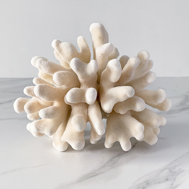 Статуэтка Elkhorn Coral