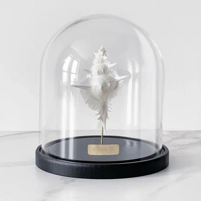 Статуэтка Murex Alabaster Glass Cloche