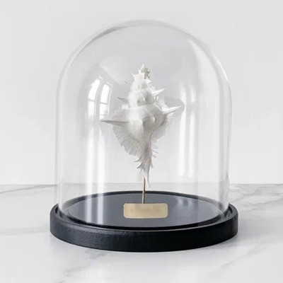 Статуэтка Murex Alabaster Glass Cloche