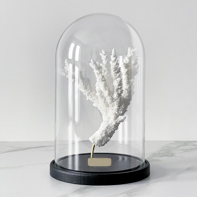 Статуэтка Natural Coral Branch Glass Cloche