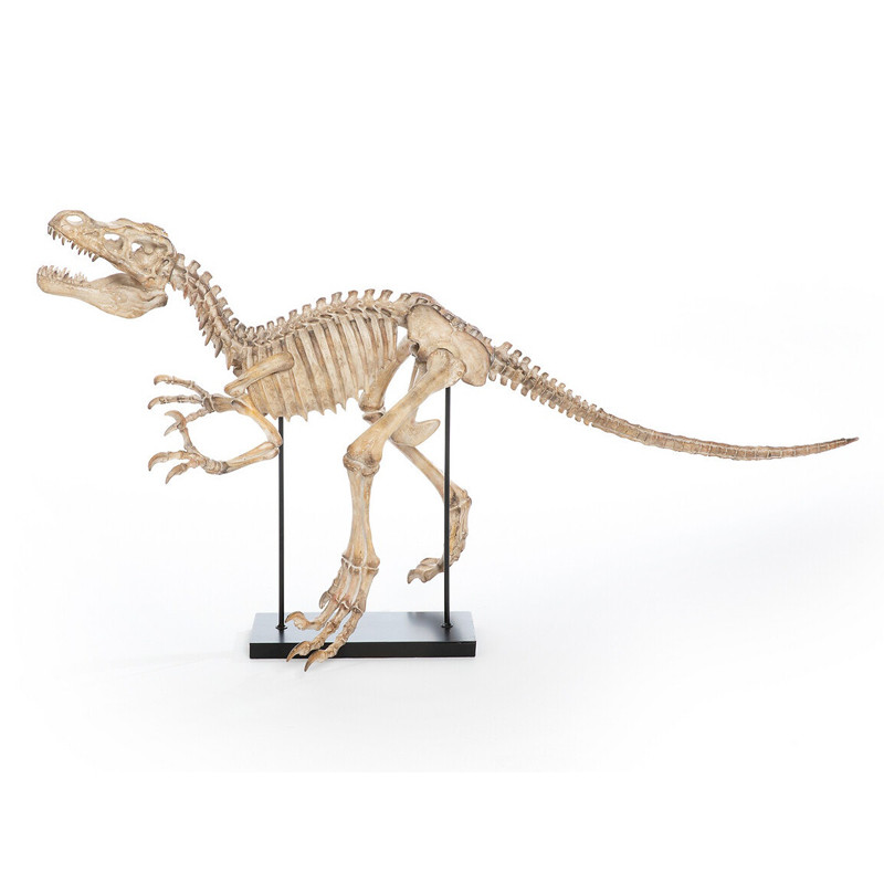 Статуэтка Skeleton