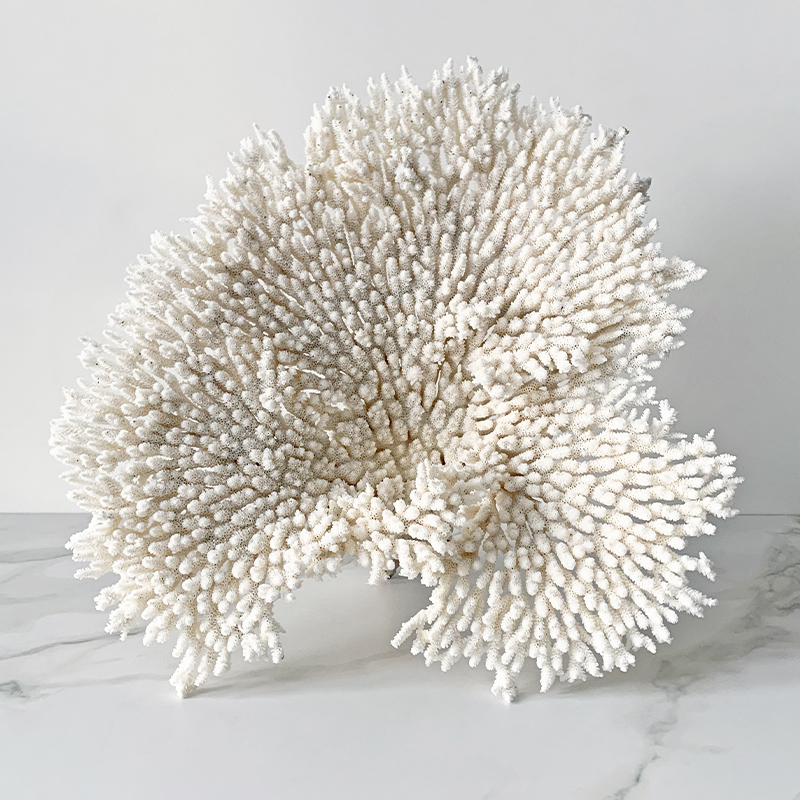 Статуэтка Table Coral