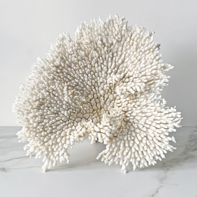 Статуэтка Table Coral