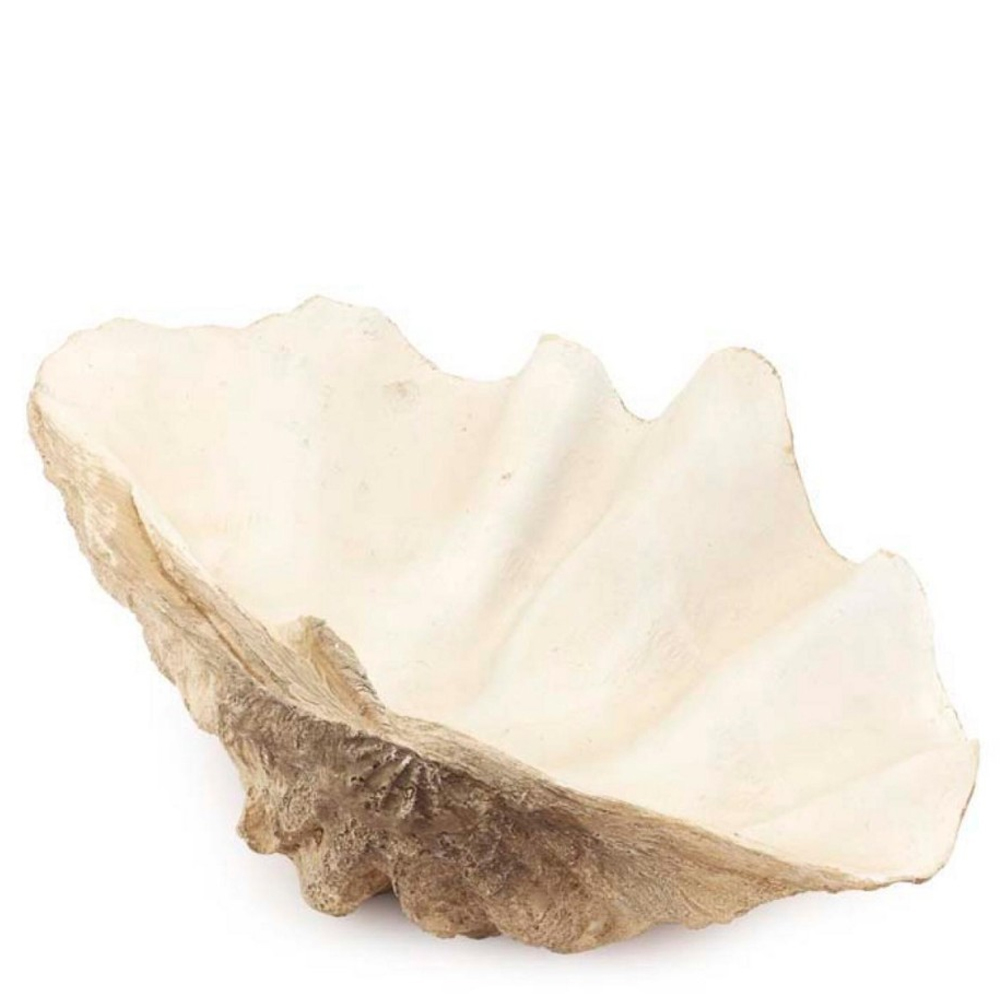 Статуэтка Tridacna