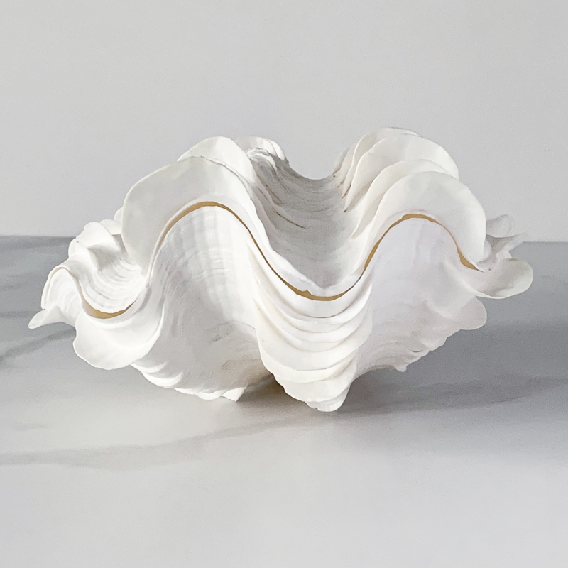 Статуэтка Tridacna Squamosa Shell