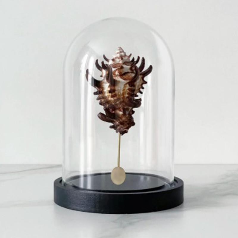 Статуэтка Vasum Tubiferum Glass Cloche
