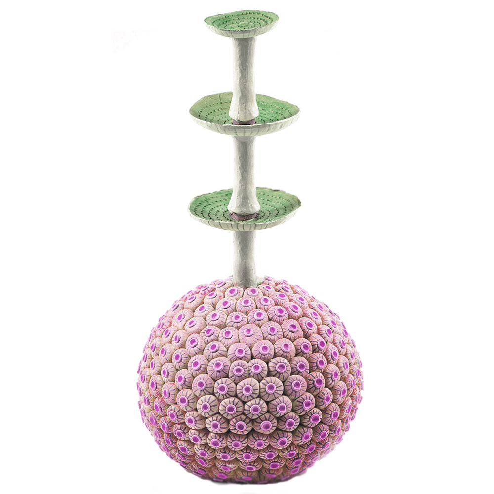 Статуэтка розовый экзотический фрукт Exotic Tropical Fruit 61