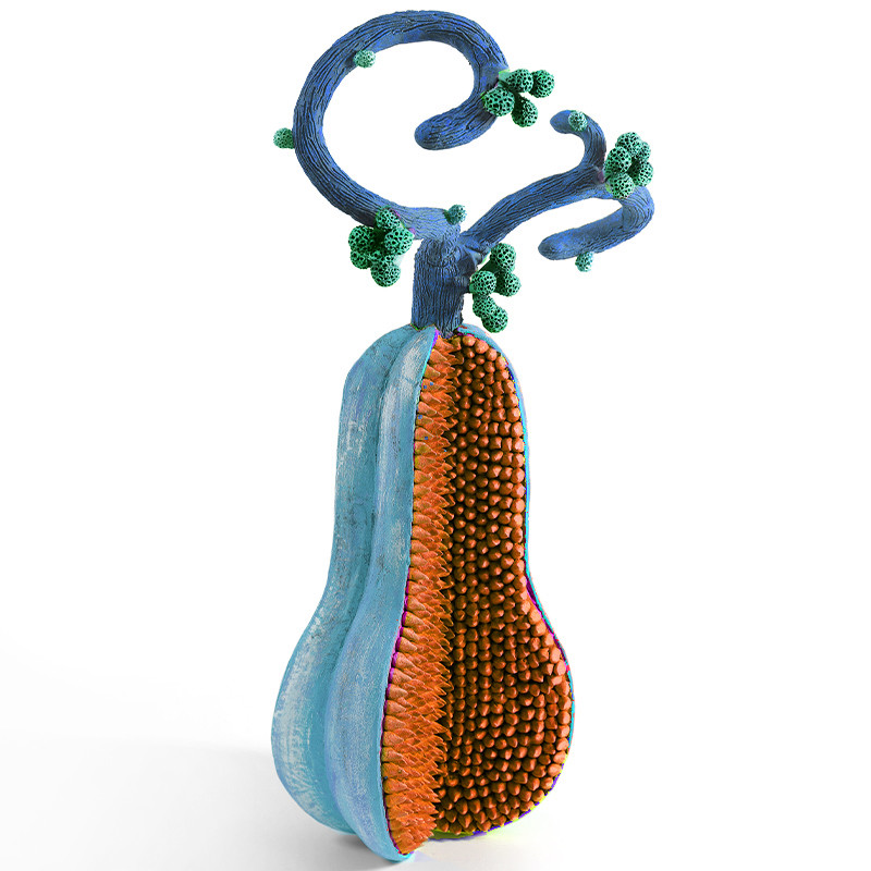 Статуэтка тропический голубой фрукт Pandora Tropical Fruit 38