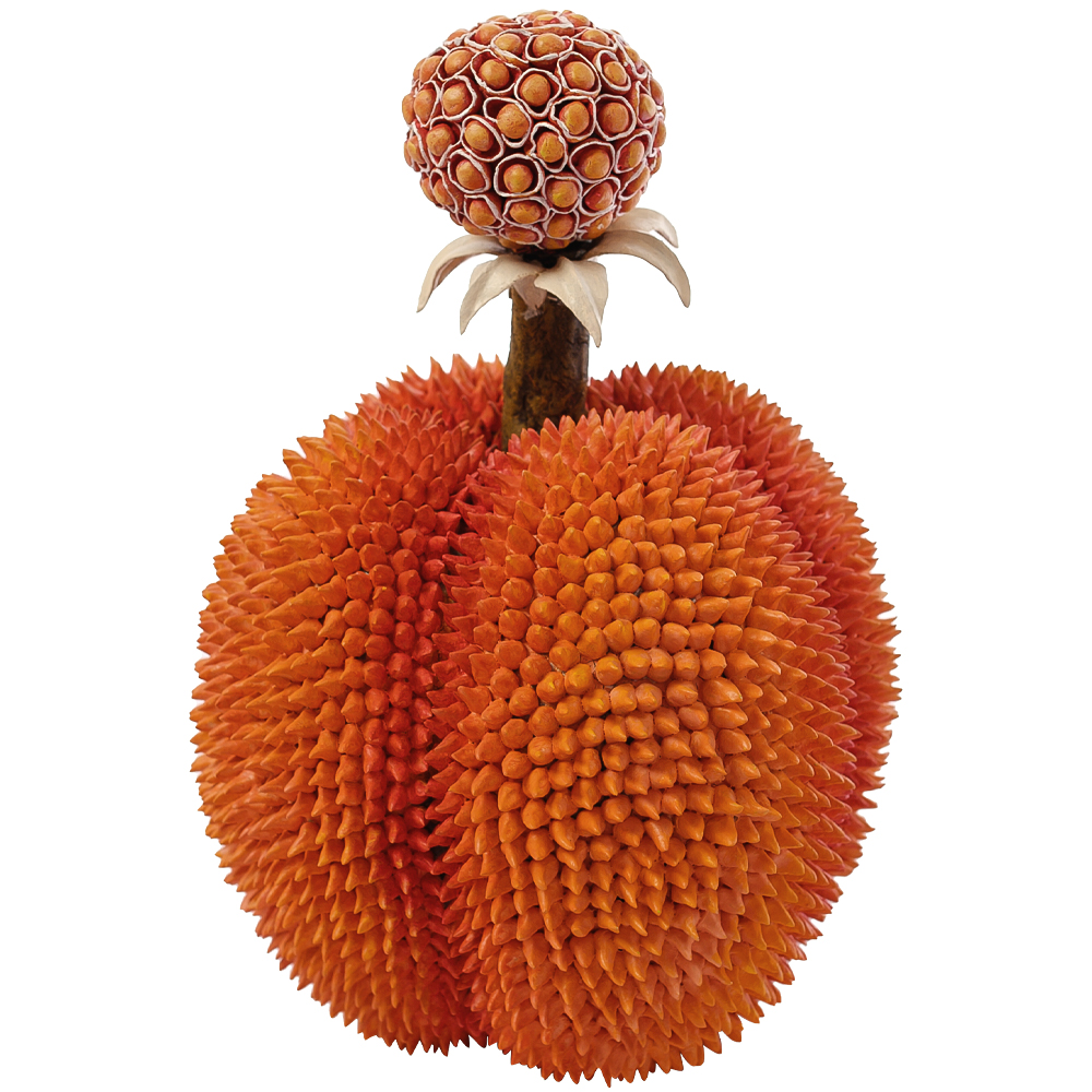Статуэтка тропический фрукт Tropical Fruit Orange Prickly Berry