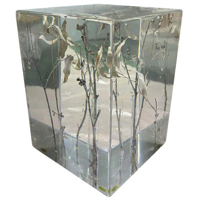 Столик из прозрачного акрила Clear Crystal Display Pedestal with Branches II