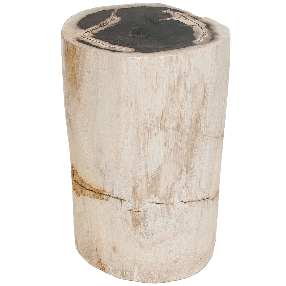 Стул из окаменелого дерева Petrified Wood