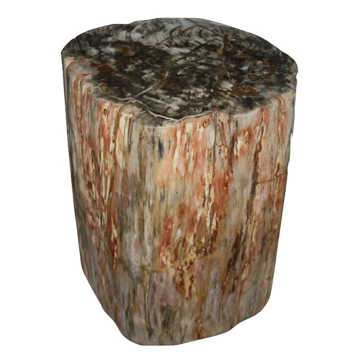 Стул из окаменелого дерева SWS003