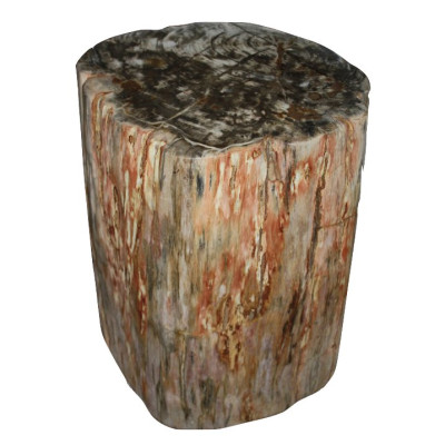 Стул из окаменелого дерева SWS003