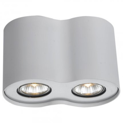 Точечный накладной светильник Scopular Spot Dual White