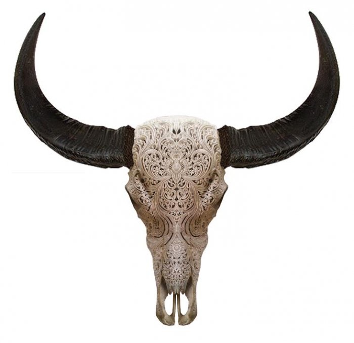 Череп буйвола с резьбой Buffalo Skull Tribal Carving