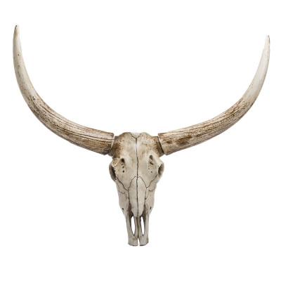 Череп быка Bull Skull