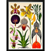 Постеры Цветы