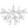 Moooi Heracleum Lamp