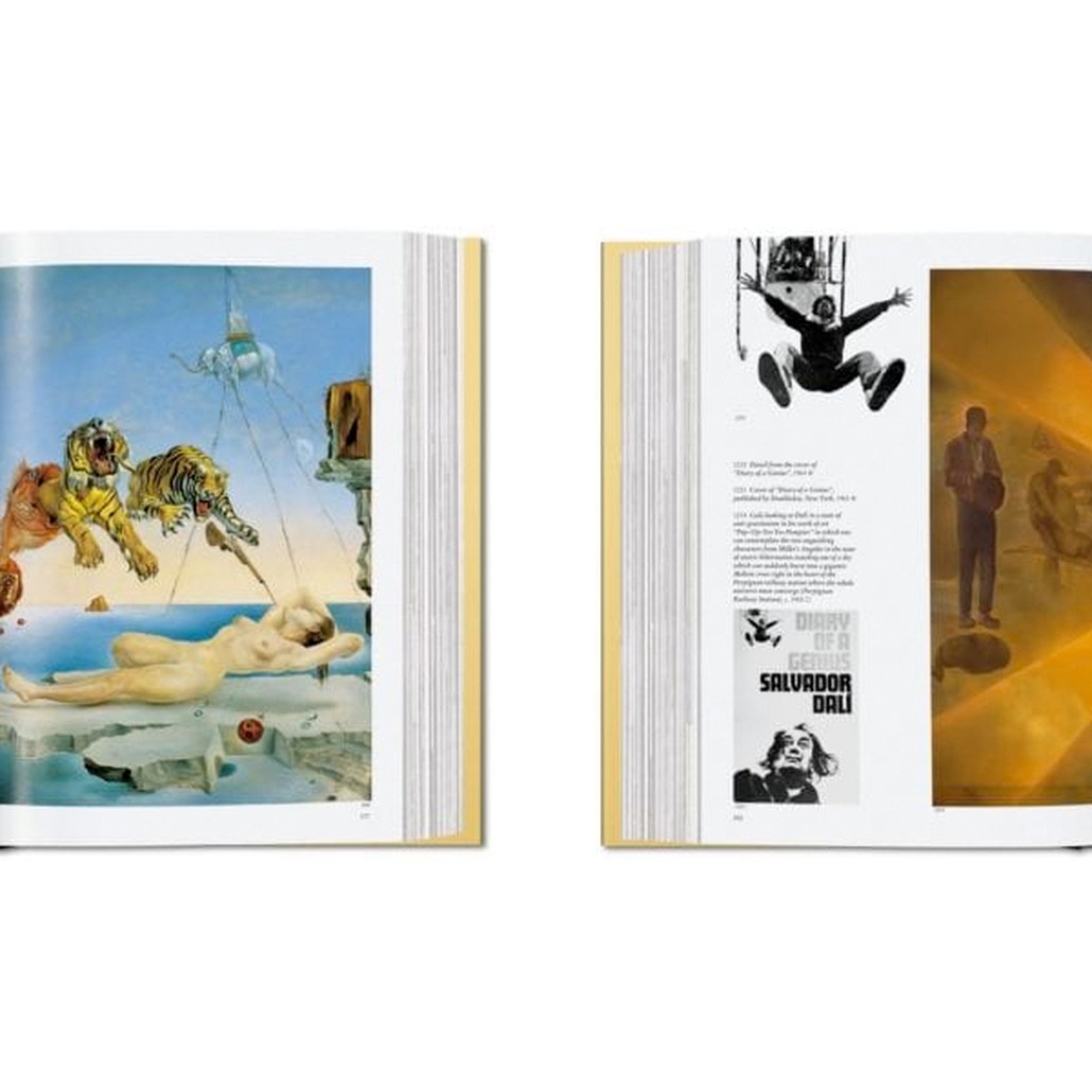 Dali. The Paintings 27 x 22 cm