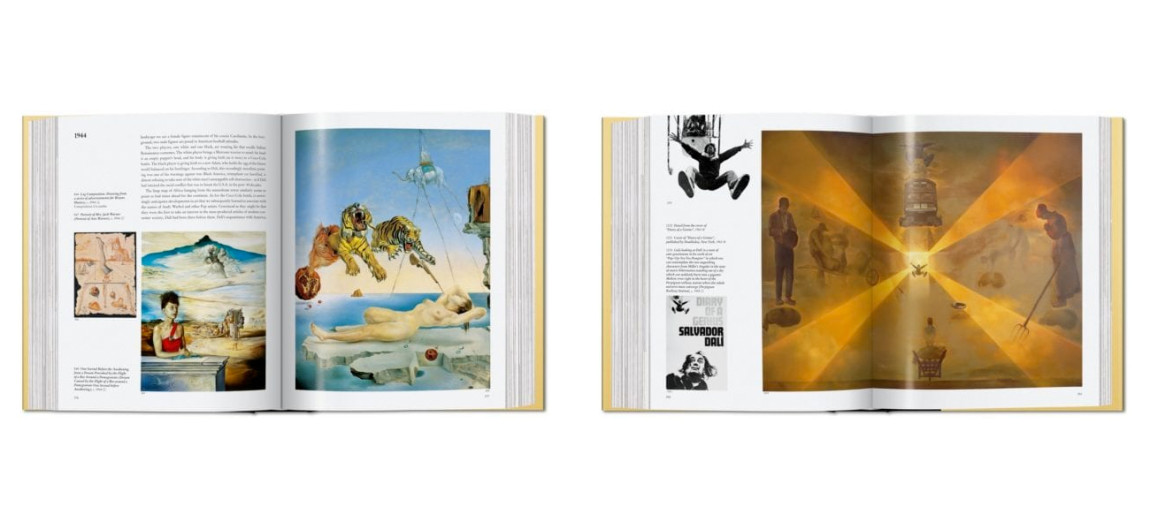 Dali. The Paintings 27 x 22 cm