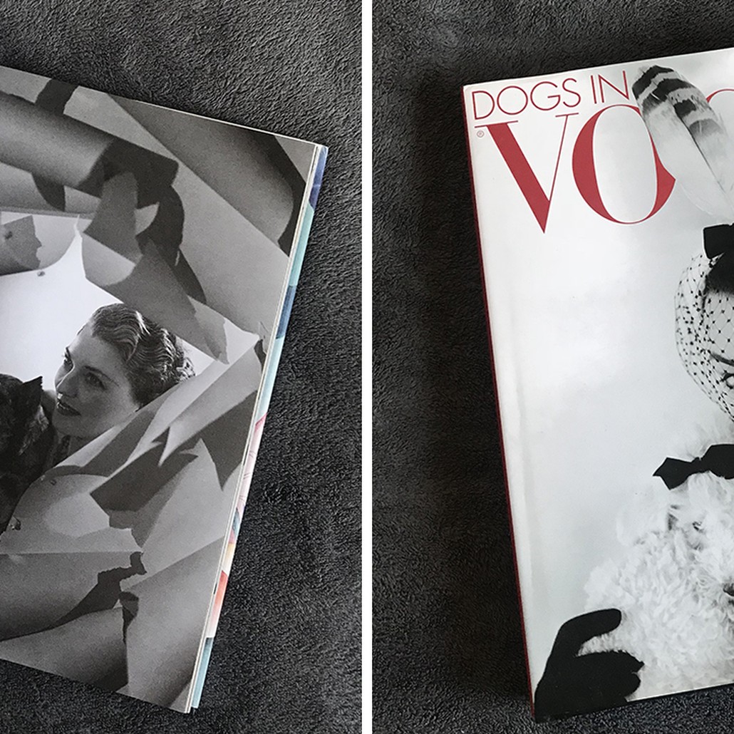 Dogs in Vogue A Century of Canine Chic