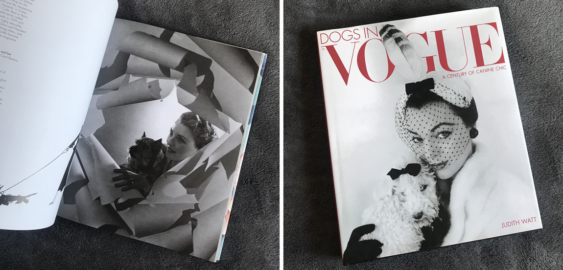 Dogs in Vogue A Century of Canine Chic