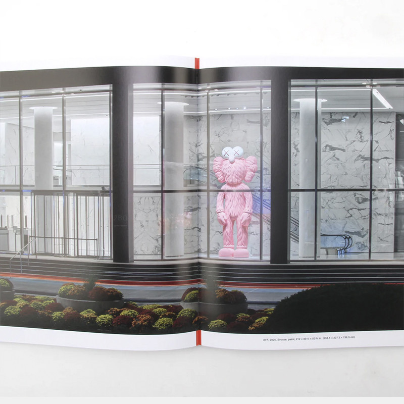 KAWS: What Party PINK Limited Edition в коробке