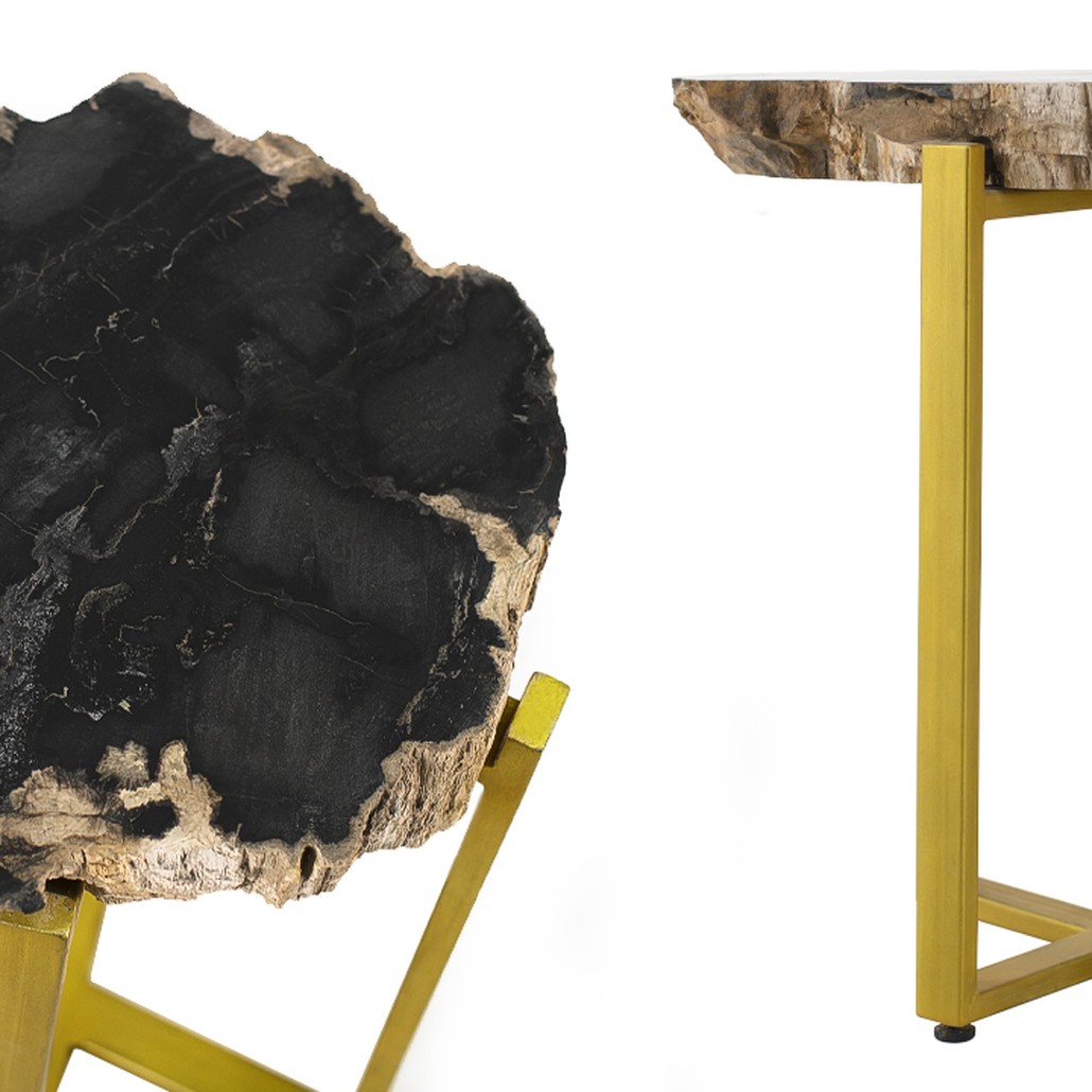 PETRIFIED WOOD COFFEETABLE GOLD S Окаменелое дерево