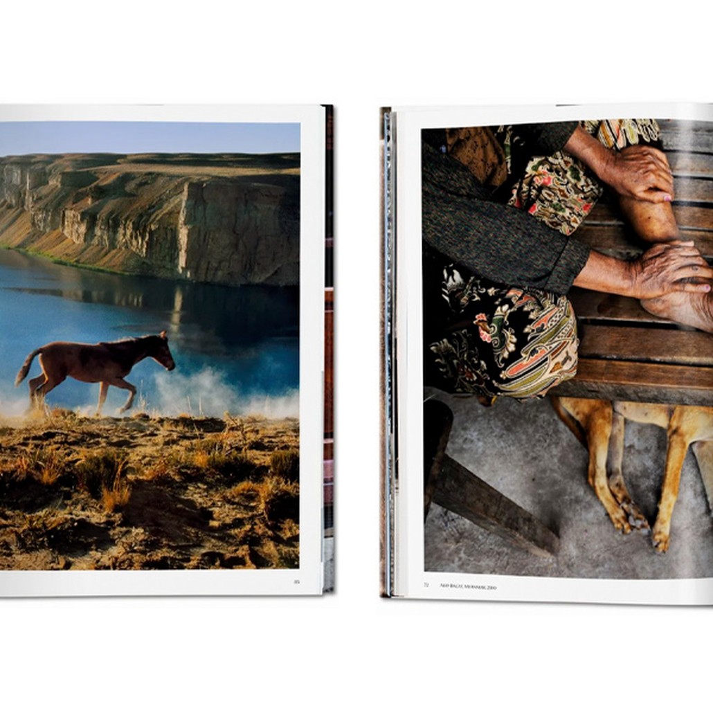 Steve McCurry. Animals