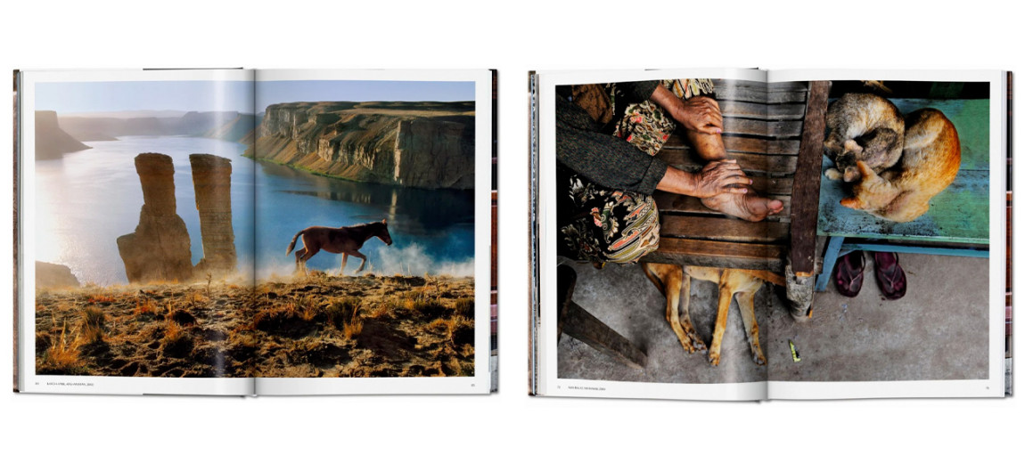 Steve McCurry. Animals