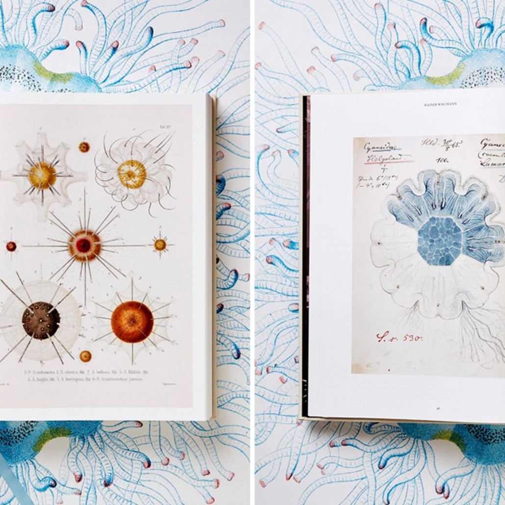 The Art and Science of Ernst Haeckel XXL