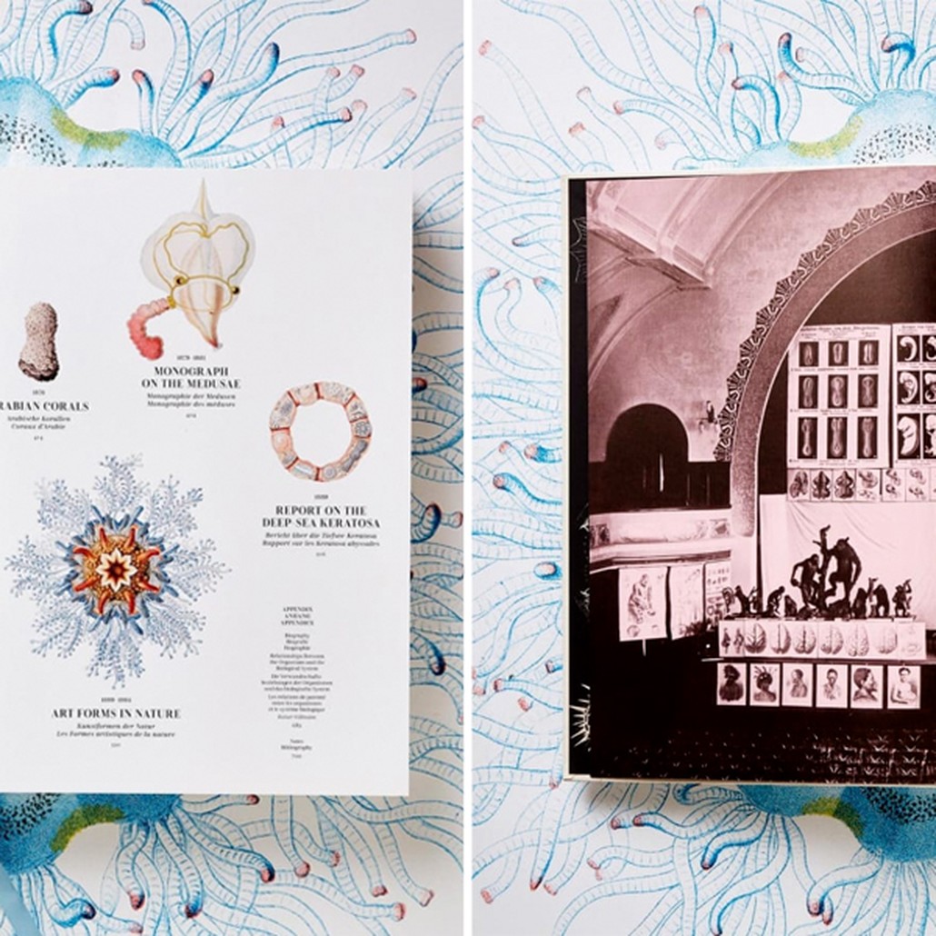 The Art and Science of Ernst Haeckel XXL