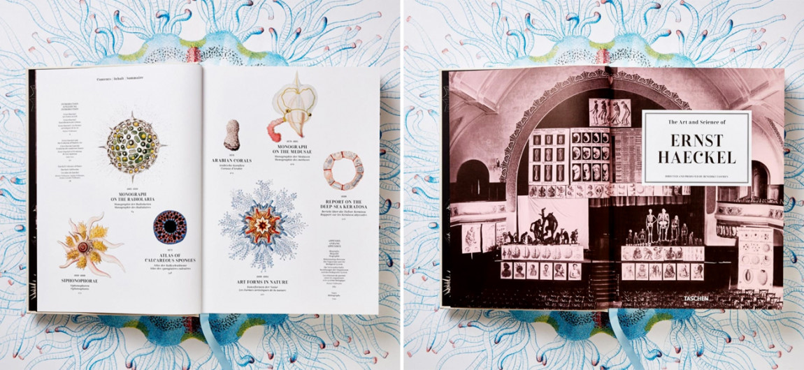 The Art and Science of Ernst Haeckel XXL