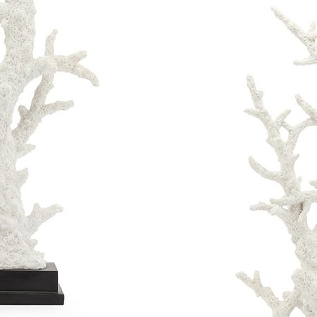 Аксессуар CORAL BIG