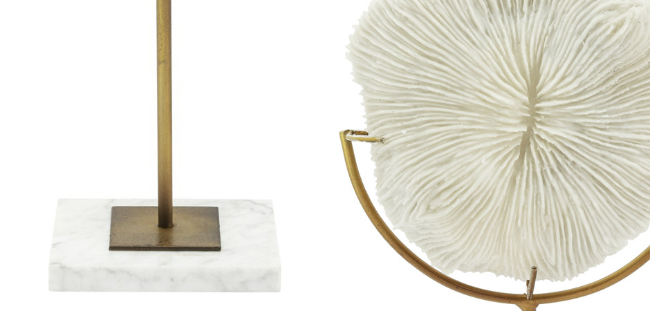 Аксессуар CORAL DISK+STAND