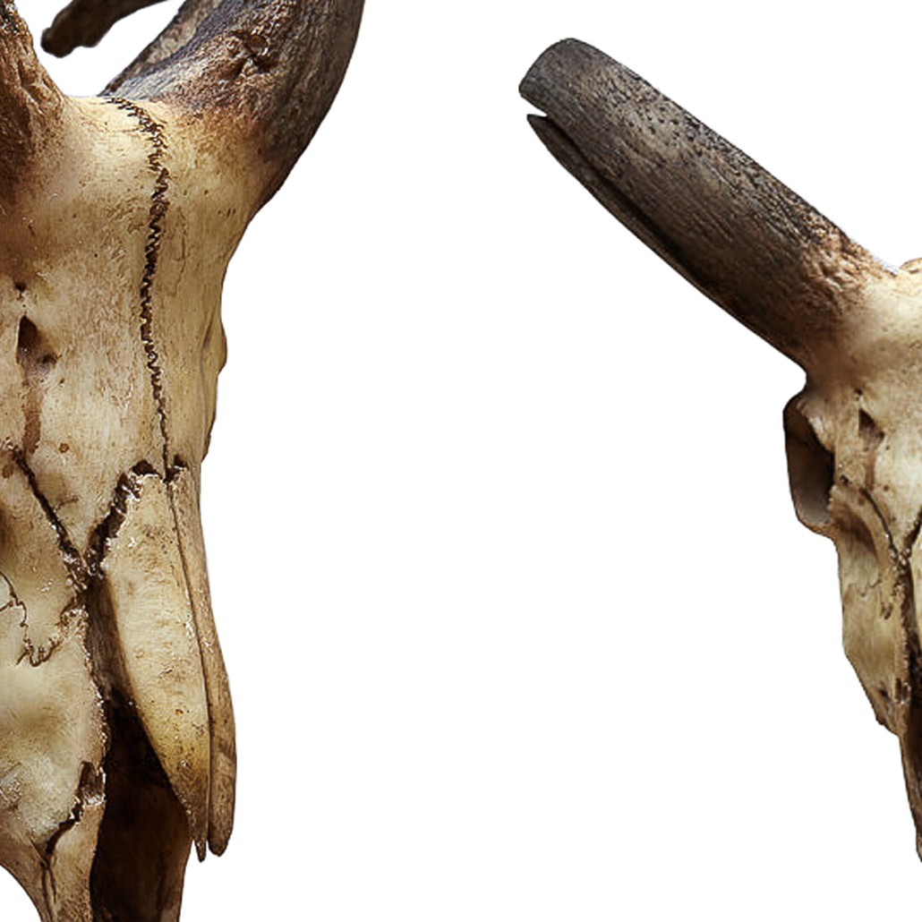 Аксессуар Goat Skull