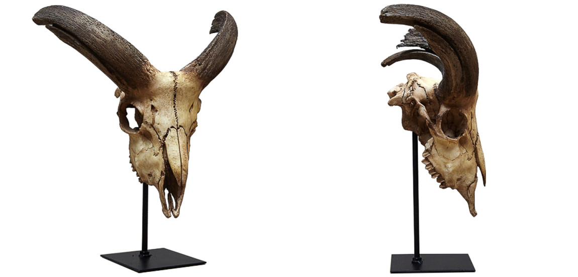 Аксессуар Goat Skull