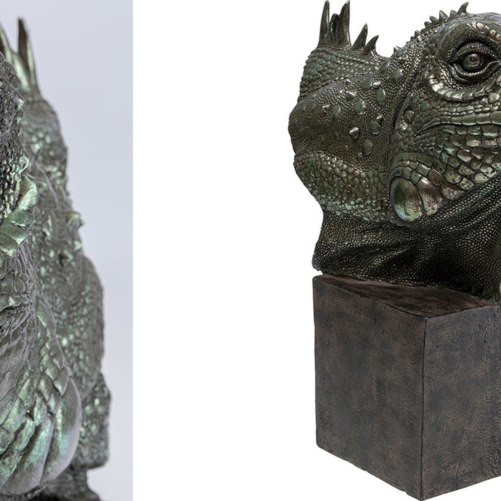 Аксессуар Iguana