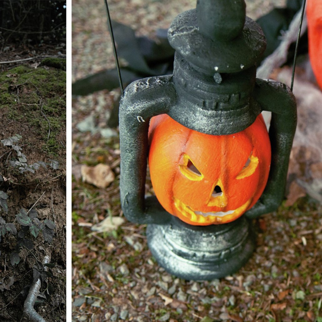 Аксессуар для Хэллоуина Lantern Pumpkin